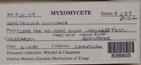 Image Associated With the Occurence